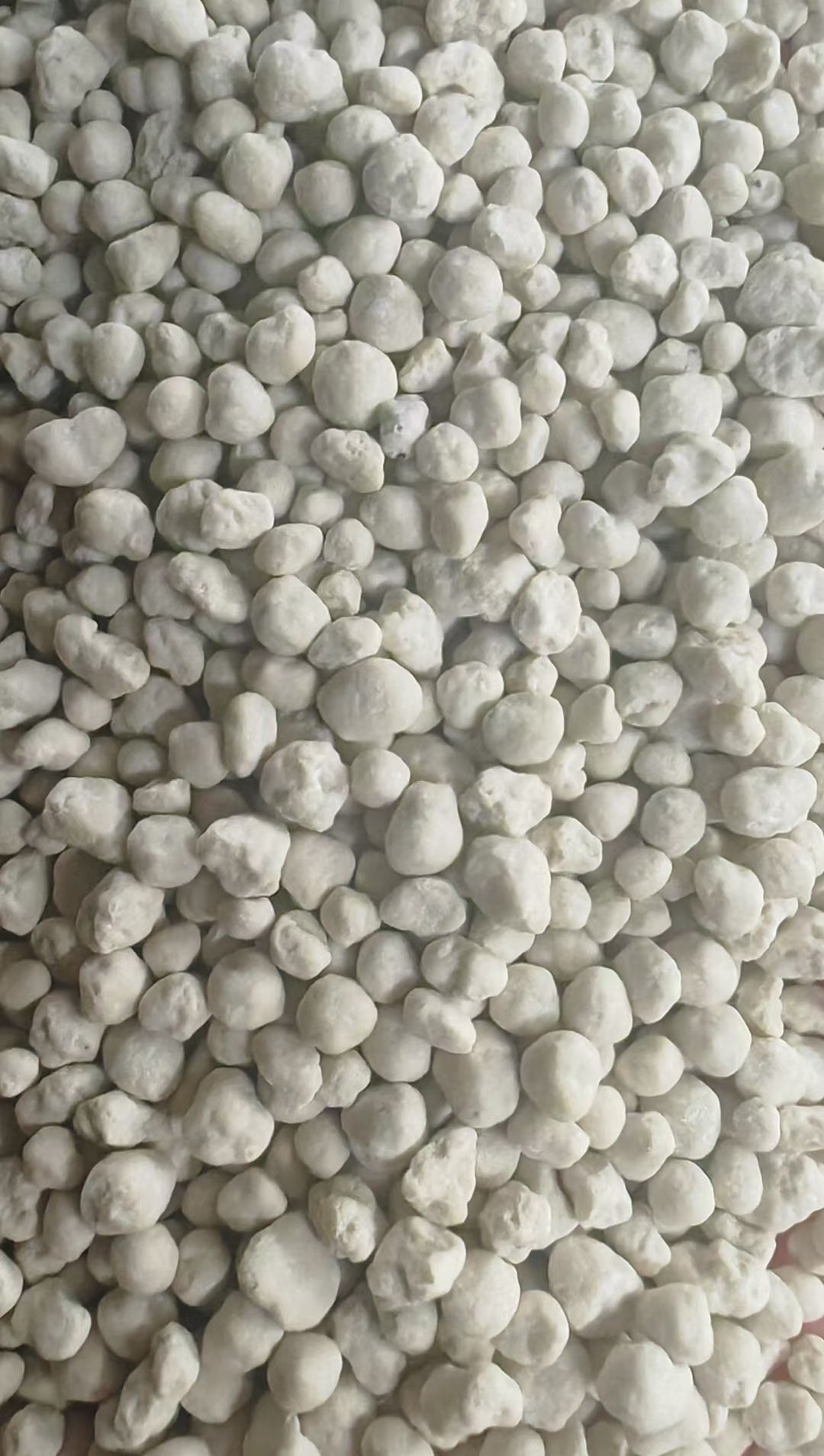 微信图片_20251202075313_16_1664